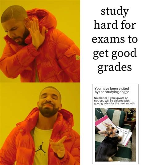 how hard was the test meme|exam memes for adults.